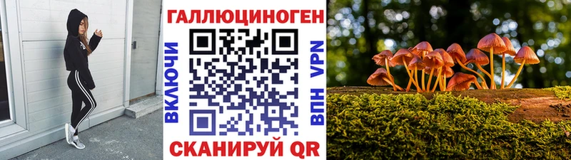 Галлюциногенные грибы Magic Shrooms ссылка на мегу как войти Миньяр продажа наркотиков