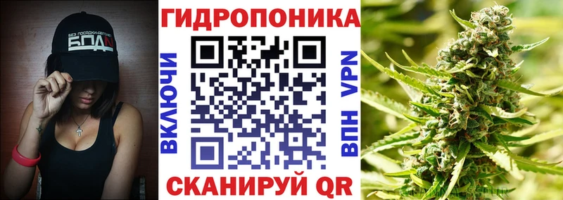 Бошки Шишки MAZAR  Миньяр 
